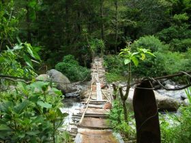 Boquete Panama bridge in the jungle – Best Places In The World To Retire – International Living